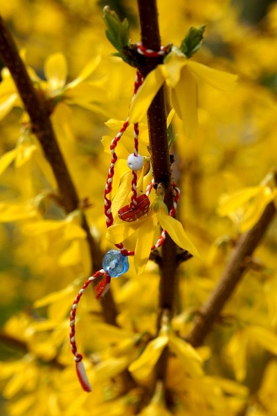 005_PICT0446