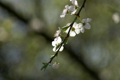 011_pict1232
